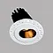 Elliptical Trimless Downlight